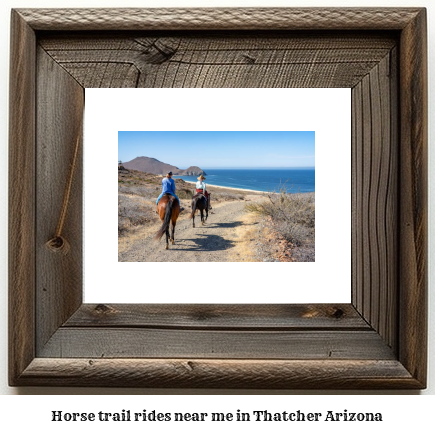 horse trail rides near me in Thatcher, Arizona